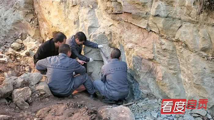 四川自贡大山铺最新发现的恐龙化石“出山”了
