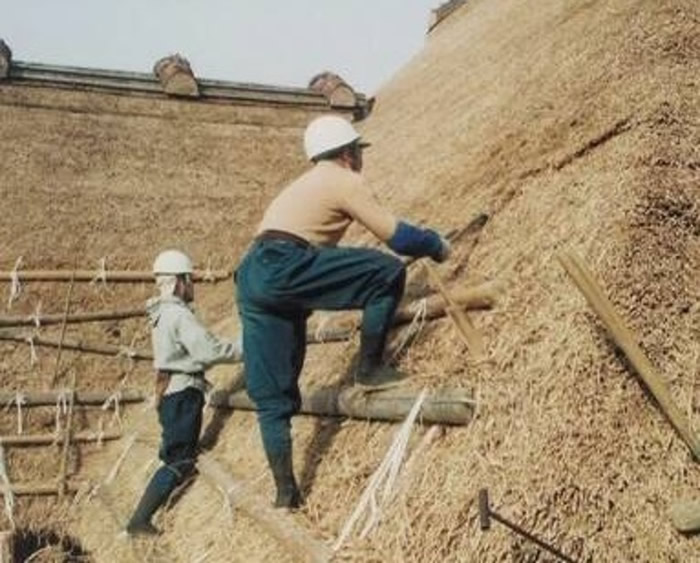 日本申报的“传统建筑工匠之技 为继承木造建筑物的传统技术”列入非物质文化遗产名录
