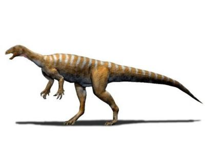 数码模拟大脑构造发现：草食性小型恐龙“槽齿龙”能用两脚敏捷行走之余 亦会偶然吃肉