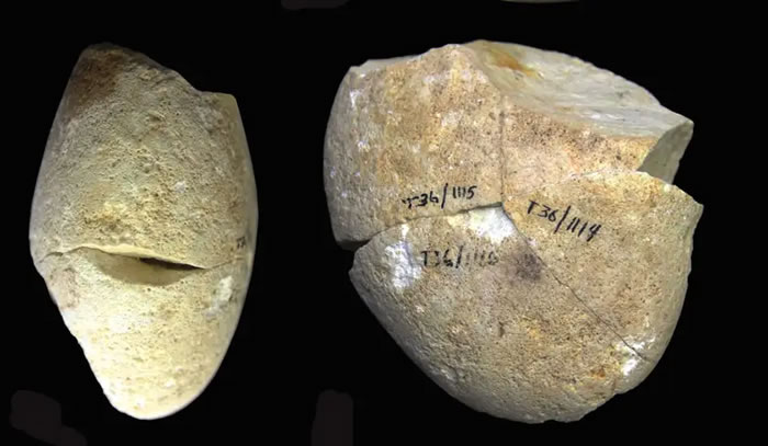 《人类进化杂志》：以色列“塔本洞穴”发现迄今为止最古老的刮削石器 追溯到35万年前