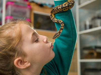 英国8岁女童格林哈尔希Hollie Greenhalgh将卧室打造成迷你动物园