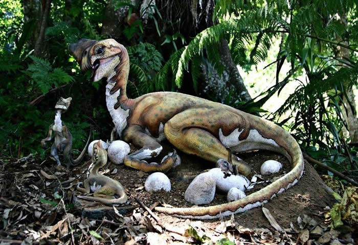 江西赣州发现7000万年前正孵卵的窃蛋龙化石 与现代鸟类孵蛋姿态一致