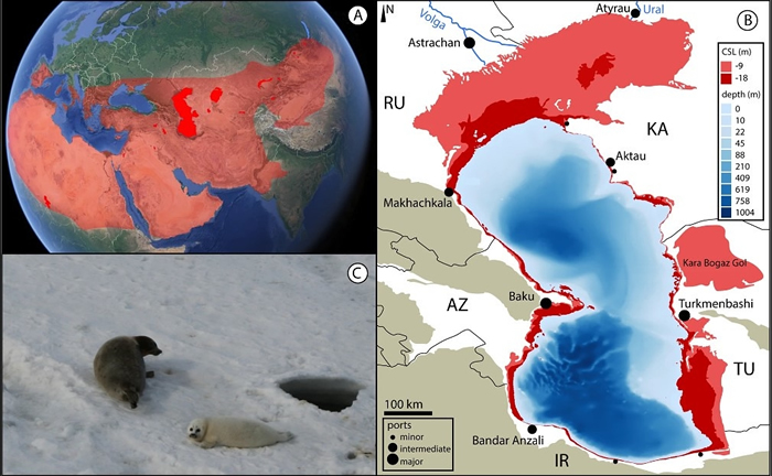 2080～2099年受干旱影响区域，鲜艳红色为湖泊。图B：里海水位下降示意图，浅红色为下降9公尺影响范围，深红色为18公尺。图C：仅在里海地区发现的里海海豹，将