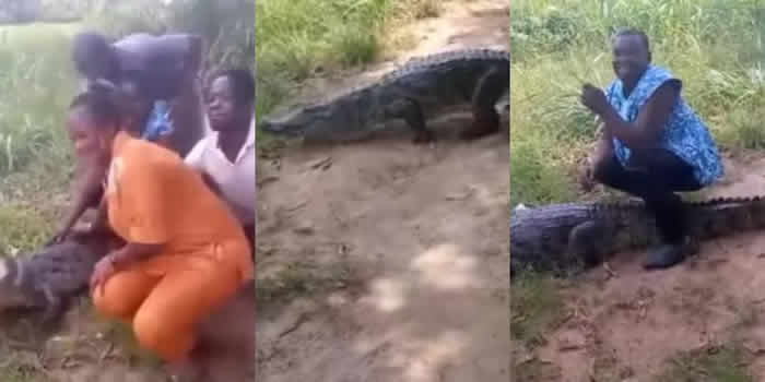 迦纳一群游客开心和鳄鱼合影 没想到鳄鱼忽然转头狠咬