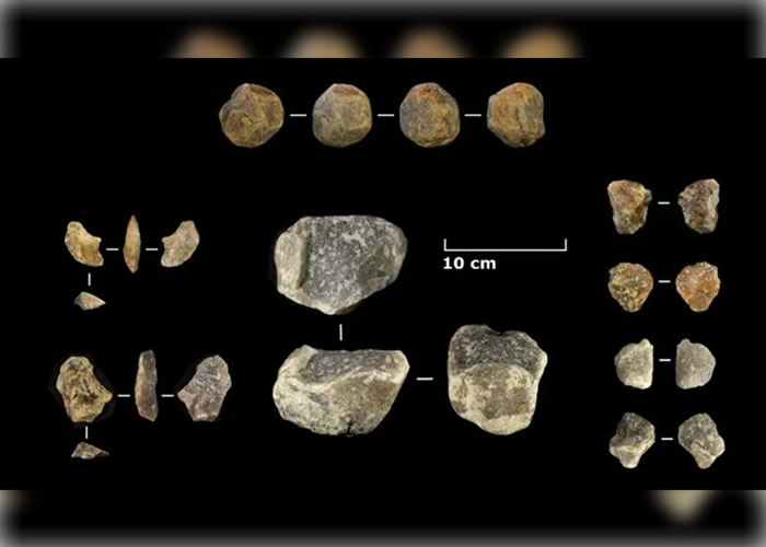 坦桑尼亚奥杜瓦伊峡谷发现200万年前石器及动物化石 证早期人类具备适应环境的能力