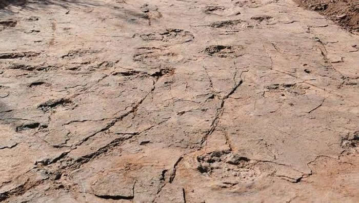 福建省龙岩市上杭县首次发现恐龙足迹化石240余枚 也是中国首次发现大型恐爪龙类行迹