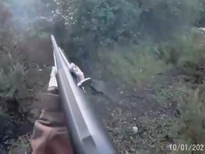 意大利萨丁尼亚岛女猎人遭凶猛野猪反击 没办法装子弹绝望挥枪杆