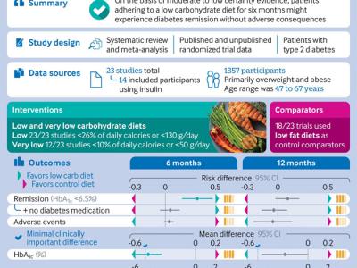 《英国医学杂志》：荟萃研究证实低碳水化合物饮食可在短期内逆转2型糖尿病
