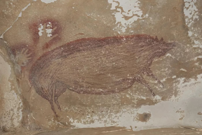 印度尼西亚苏拉威西岛石灰岩洞穴中发现4万5千多年前疣猪壁画