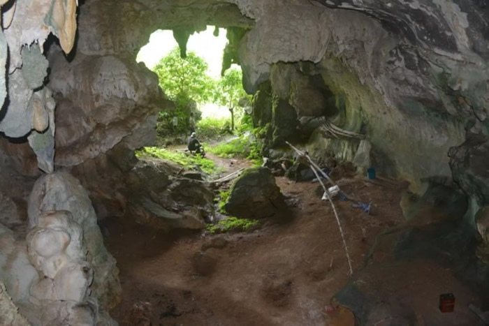 印尼苏拉威西岛Leang Tedongnge洞穴发现4.55万年前冰河时期疣猪壁画 或出自智人之手