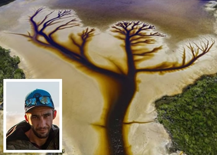 澳洲摄影师透过航拍机在新南威尔士省北部卡科拉湖拍到“生命之树”图案美景