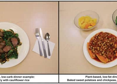 在减脂方面低脂植物性饮食胜过低碳水化合物饮食