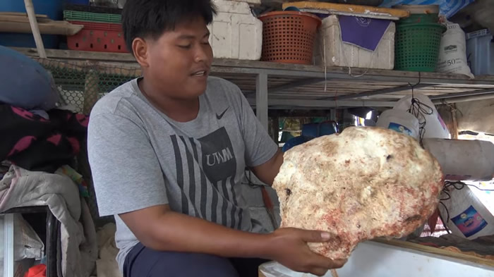 泰国渔民停船时捡到7公斤重“鲸鱼呕吐物”龙涎香 价值21万英镑