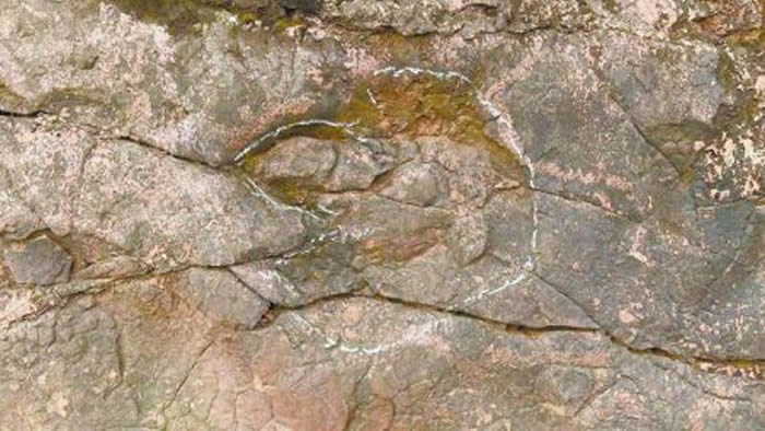 四川省乐山市夹江县千佛岩景区发现白垩纪恐龙足迹化石