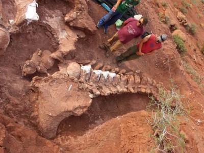 阿根廷发现9800万年前的恐龙化石 或是“有史以来发现的最大恐龙”