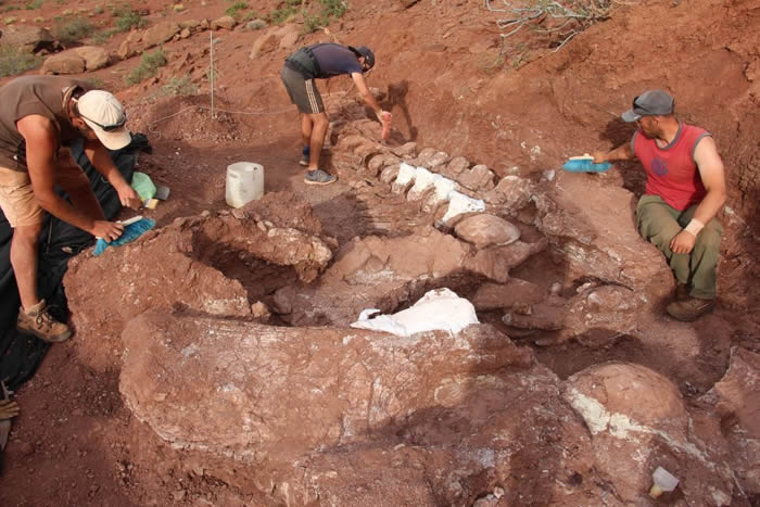 阿根廷发现9800万年前的恐龙化石 或是“有史以来发现的最大恐龙”