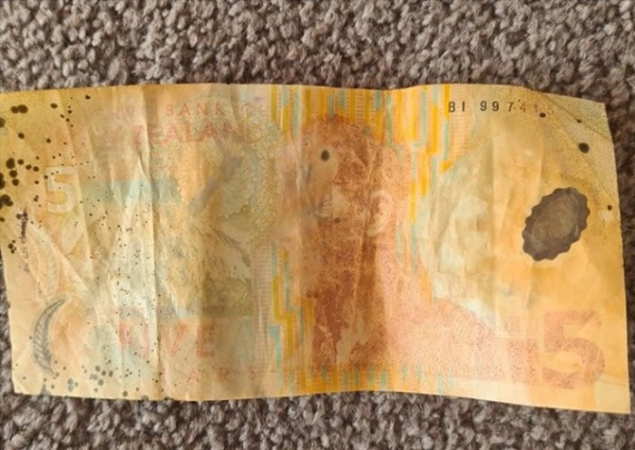新西兰坎特伯雷男童海中发现5新元旧钞 拍卖价飊升200倍