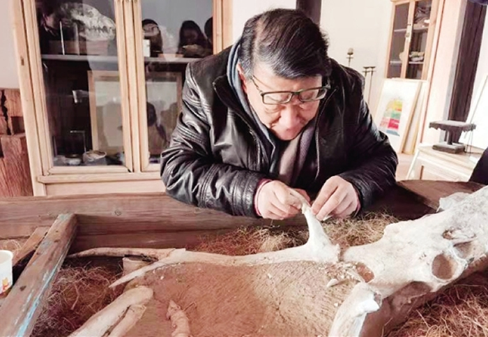 香港设计师王仁斌20多年的化石情结 在柯桥古镇开盘古化石馆