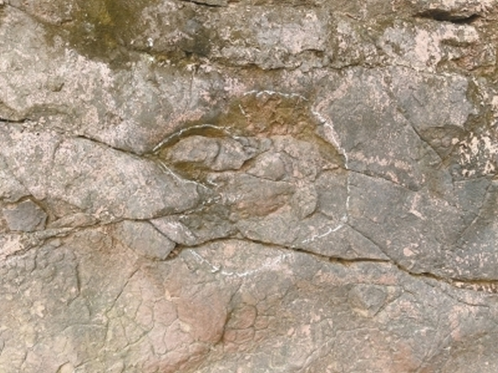 地质勘察员在夹江县千佛岩景区旅游时无意中发现恐龙足迹化石