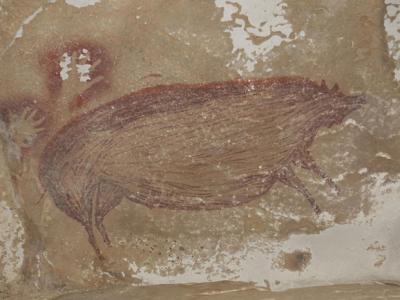 印尼苏拉威西岛这幅4万5500年前的疣猪壁画是世界上最古老的动物形艺术品