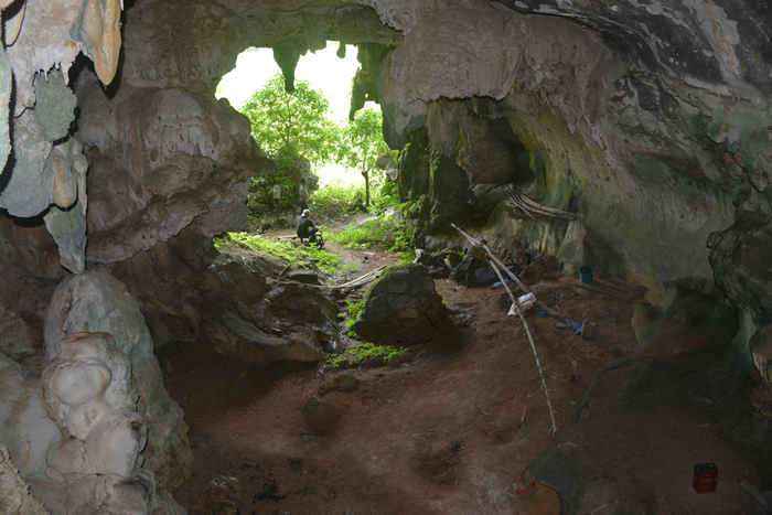 科学家在洞穴的后方墙面离地很高的位置发现这幅艺术品。 AA OKTAVIANA