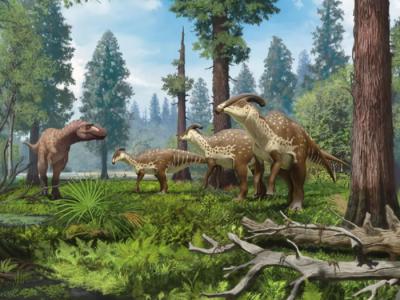 科学家近百年来首次发现副栉龙Parasaurolophus cyrtocristatus保存完好的头骨化石