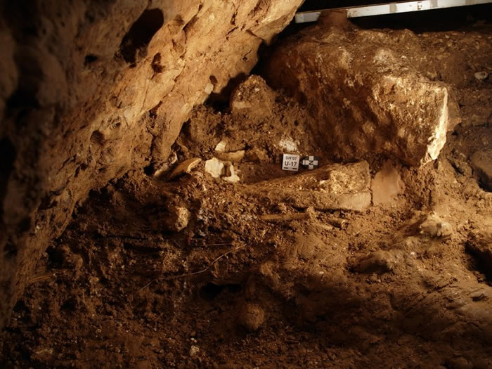 科学家在西班牙一处名为Sima de los Huesos的岩洞中发现古人类的遗骸。该洞穴位于阿塔普埃尔卡山马约洞，那里深邃的井洞中埋藏着数量惊人的化石