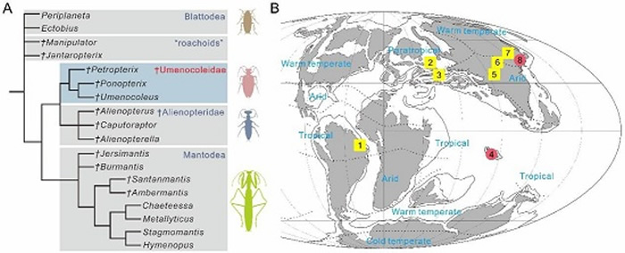 玉门鞘蠊的系统发育位置示意图与其在早白垩世的分布图