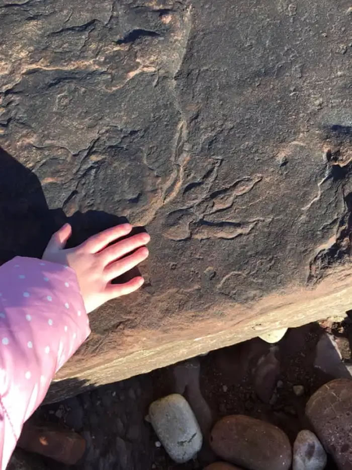 英国4岁女童在南威尔士巴里海湾散步时意外发现2.2亿年前恐龙足迹化石