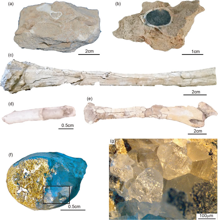 关于哈密翼龙化石风化机理的最新研究成果 对极干旱高盐碱地区的化石保护具有普遍意义