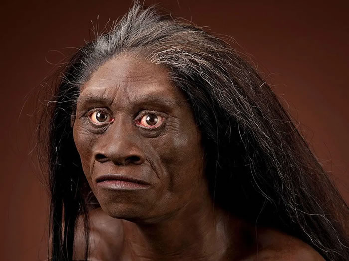 弗洛雷斯人（绰号“霍比特人”）的面部重建图，这是一个矮小的人类物种，大约生活到5万年前