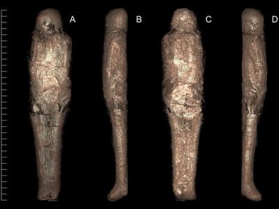 研究人员发现世界首具以泥土包覆的木乃伊 距今约3400年前