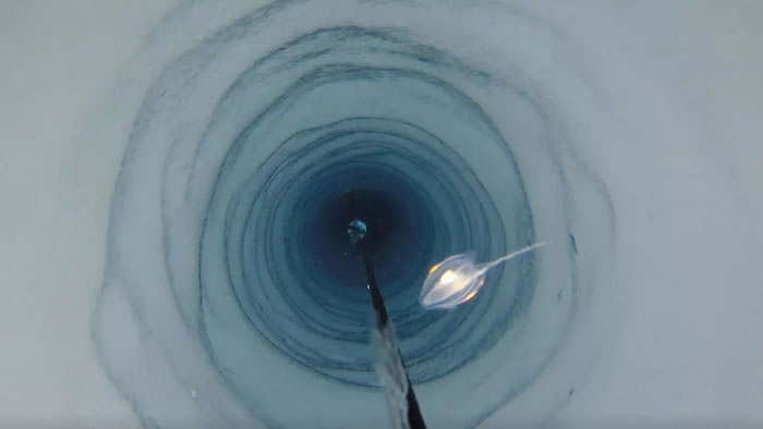 《海洋科学前沿》杂志：南极冰架下深处发现可能是海绵类的无脊椎动物