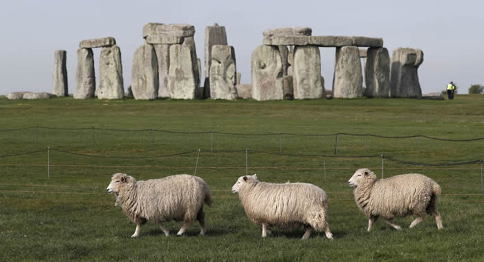 考古学家在巨石阵中发现古代墓葬和神秘圆柱形物体