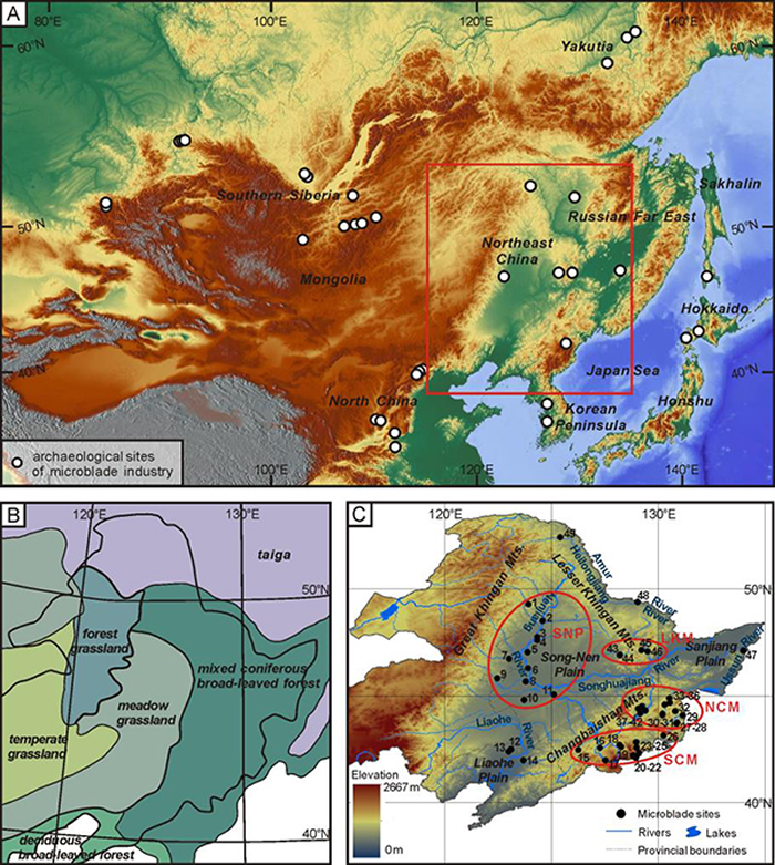 中国东北地区的地理位置、植被区划与细石叶遗存分布