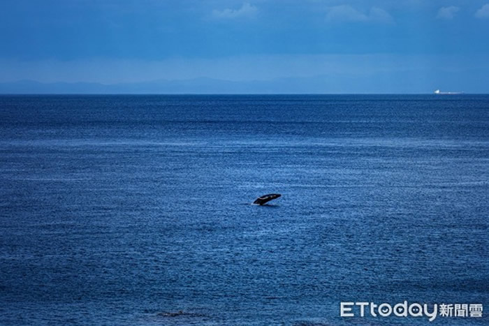 罕见大翅鲸（座头鲸）在台湾兰屿椰油滩头海域现踪