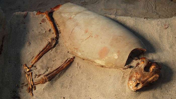 红海沿岸古埃及近600只猫狗的坟墓可能是世界上最古老的宠物墓地