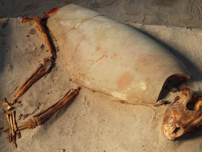 红海沿岸古埃及近600只猫狗的坟墓可能是世界上最古老的宠物墓地