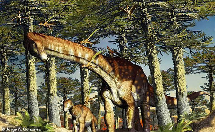 阿根廷1.4亿年前的“忍者巨龙”化石支持了巨型恐龙起源于南半球的假说