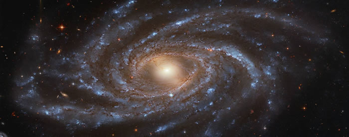 哈勃太空望远镜拍摄的壮观棒旋星系NGC 2336