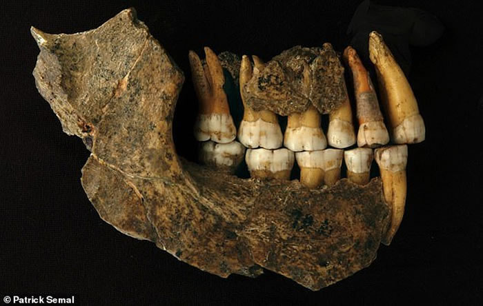 比利时一处洞穴发现尼安德特人骨骼化石