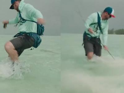 澳洲男子站在海边钓鱼 鲨鱼突然冲到脚边发动攻击