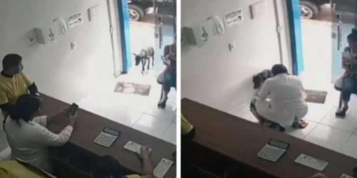 巴西一只流浪黑狗自己走进兽医诊所求救 没有插队坐在候诊区等候