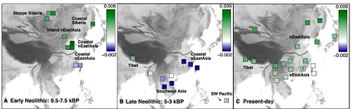 东亚南北方不同时期人群的遗传特点变化示意图