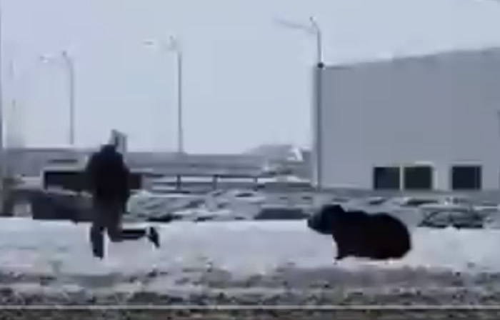 俄罗斯瓦尔托夫斯克市男子在路上竟然遭凶猛野生黑熊一路狂追