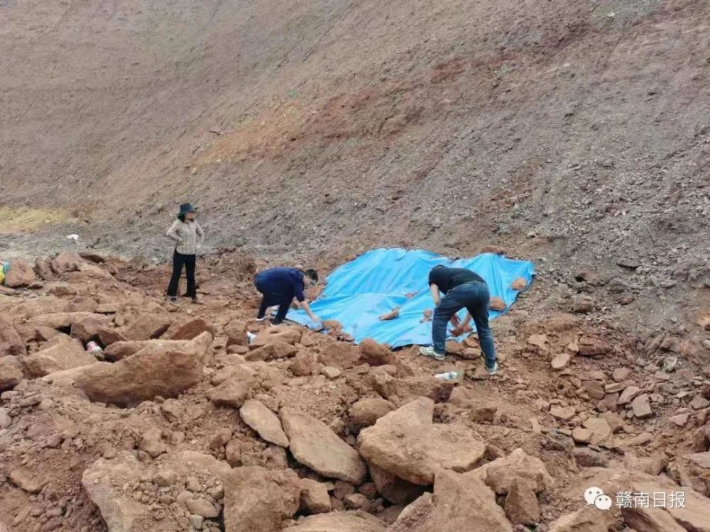 江西省赣州市章贡区沙河镇建筑工地发现恐龙化石
