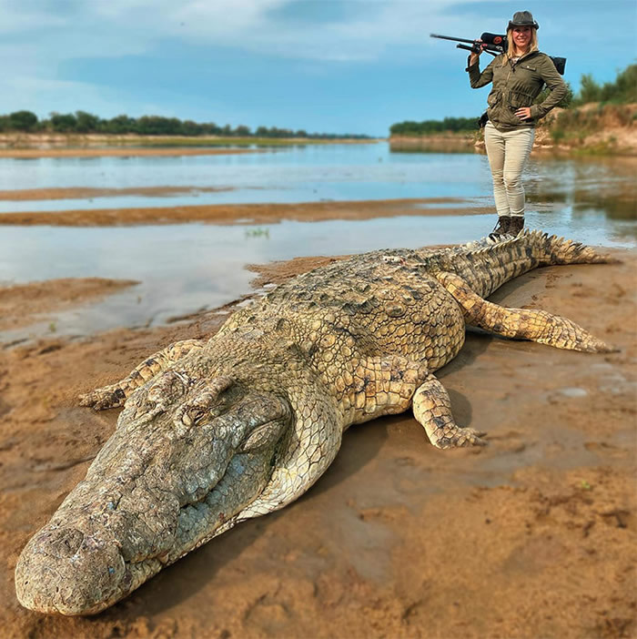美国佛州女猎人残杀60岁鳄鱼 高调在社交网站分享合照引发众怒