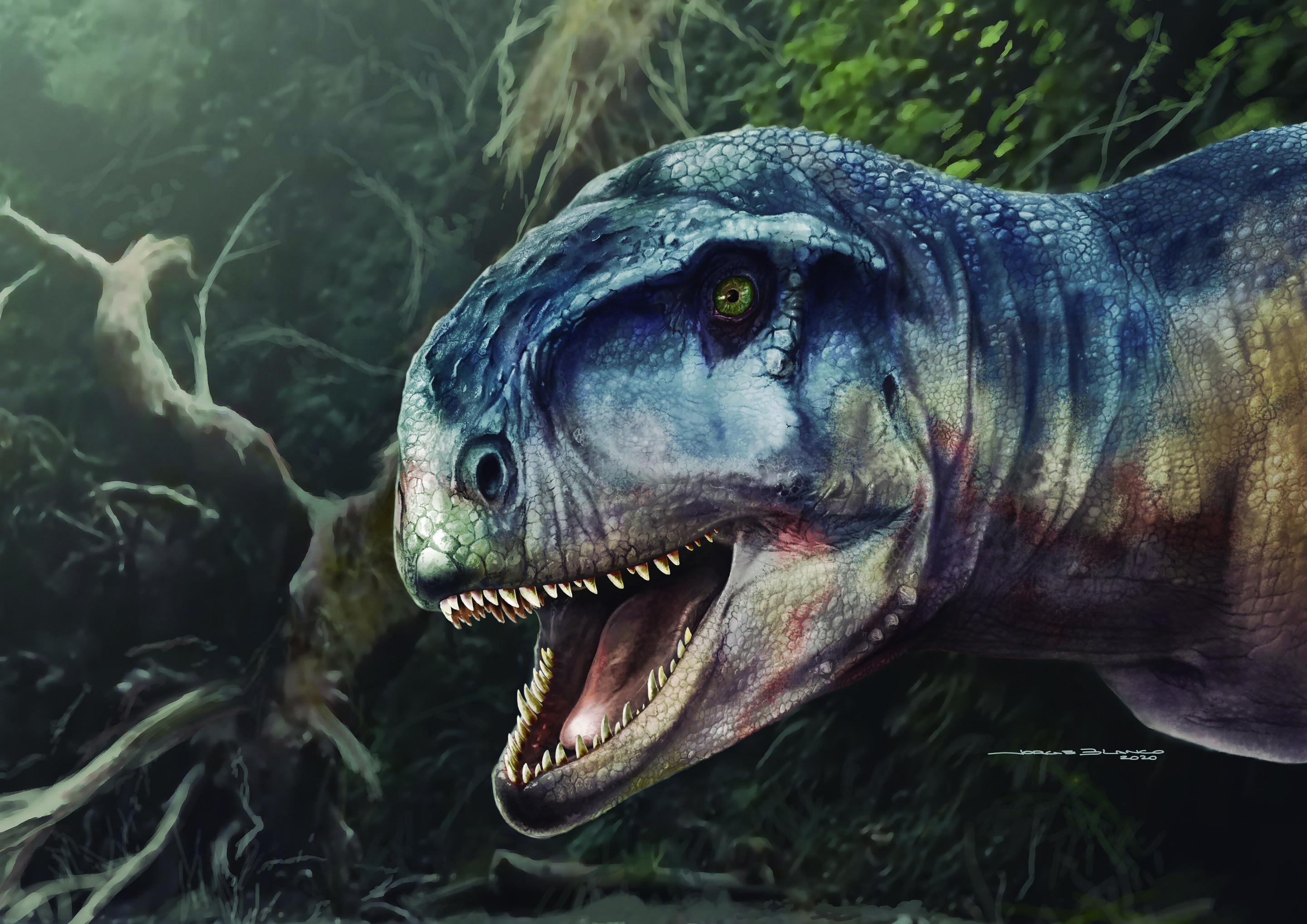 南美洲阿根廷发现的多齿恐龙命名为“令人生畏”的恐龙Llukalkan aliocranianus