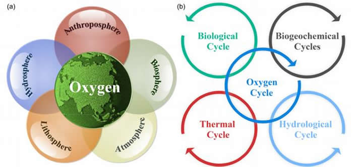 氧循环在地球系统科学中的地位(a)及其和其他生物地球化学循环的联系(b)