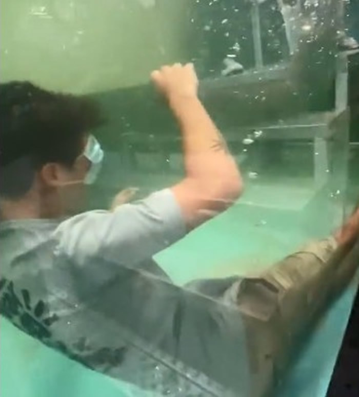 网红Paul Cuffaro到水族馆用嘴喂巨骨舌鱼 瞬间被撞头掉进缸里沉没